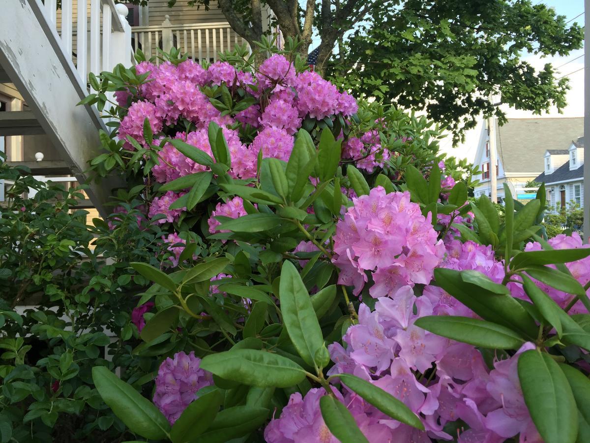 Watership Inn Provincetown Exterior foto